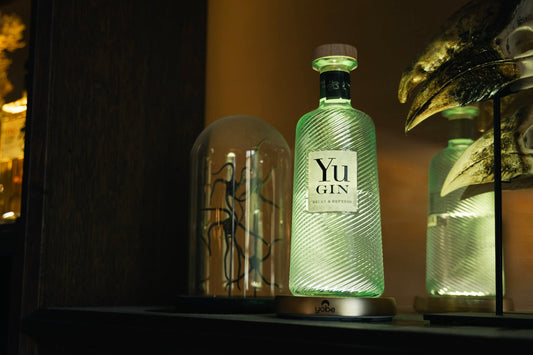 Bouteille de gin éclairée par un support lumineux Yobe Light Pro dans un bar