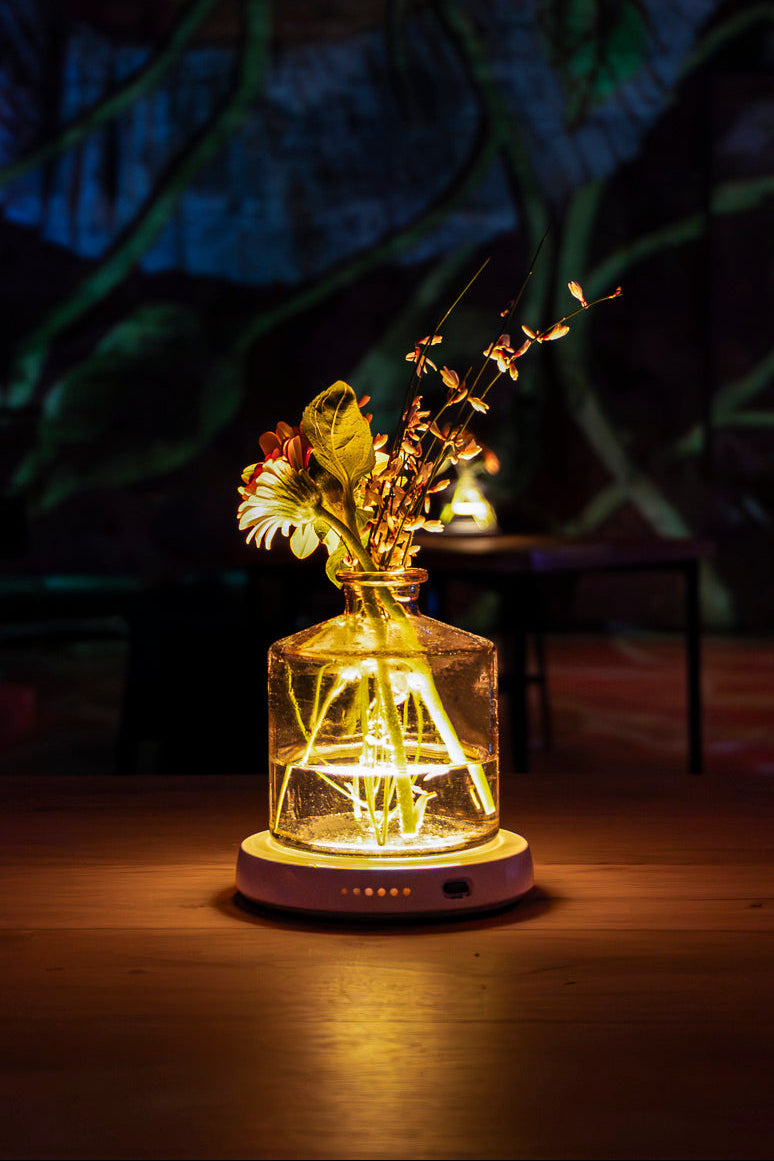 Vase avec des fleurs, éclairé par un support lumineux dans un environement tamisé au bassin des lumieres 