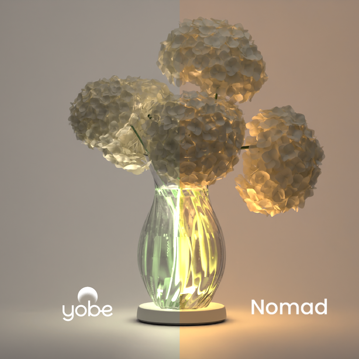 Yobe Light - Nomad
