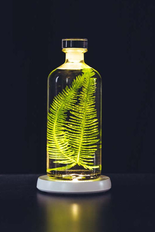 Création Herbarium de Théophile Berthon mise en valeur par Yobe Light