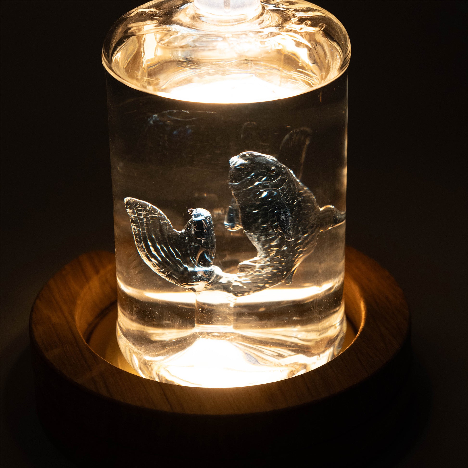 Bouteille de Gin Etsu illuminée par dessous de bouteille lumineux yobe light avec carpe en verre sculptée et anneau en  bois chêne massif yobe ring around 